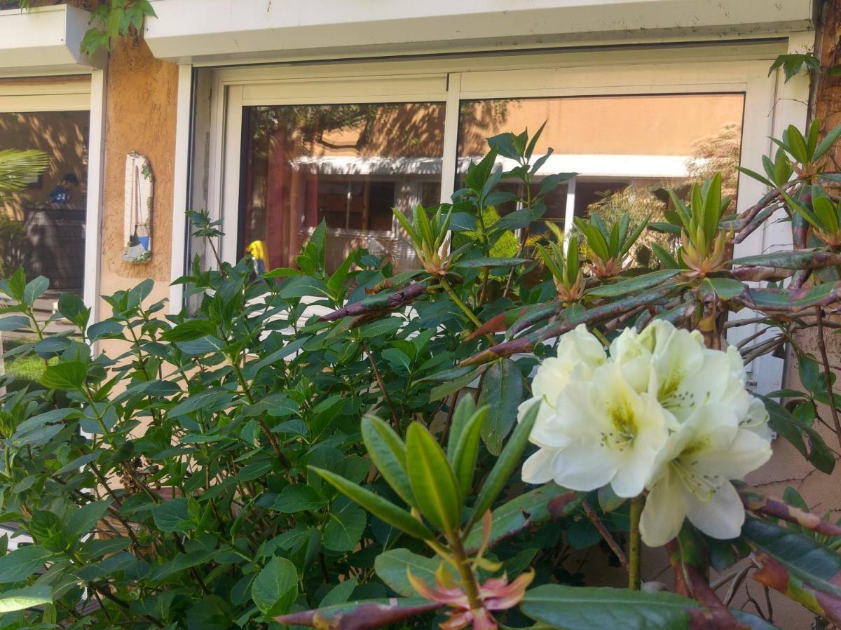 Le Relais De Montchat Lyon Exterior photo